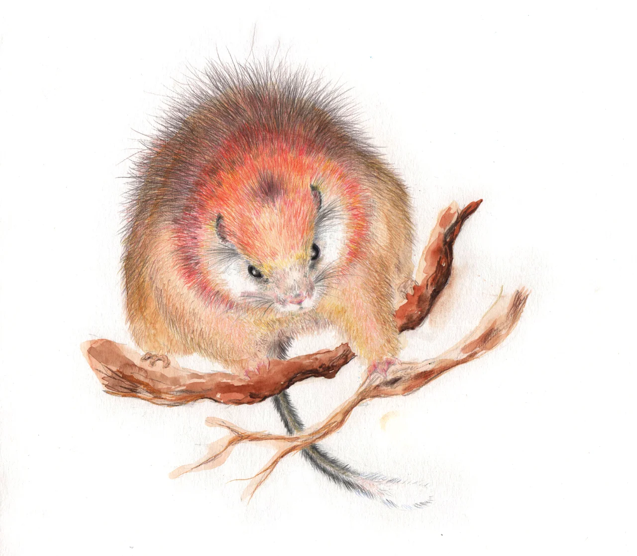 This image was provided to Wikimedia Commons as a contribution
from an art &amp; design school thanks to a collaboration between EASD Pau Gargallo and Amical Wikimedia.