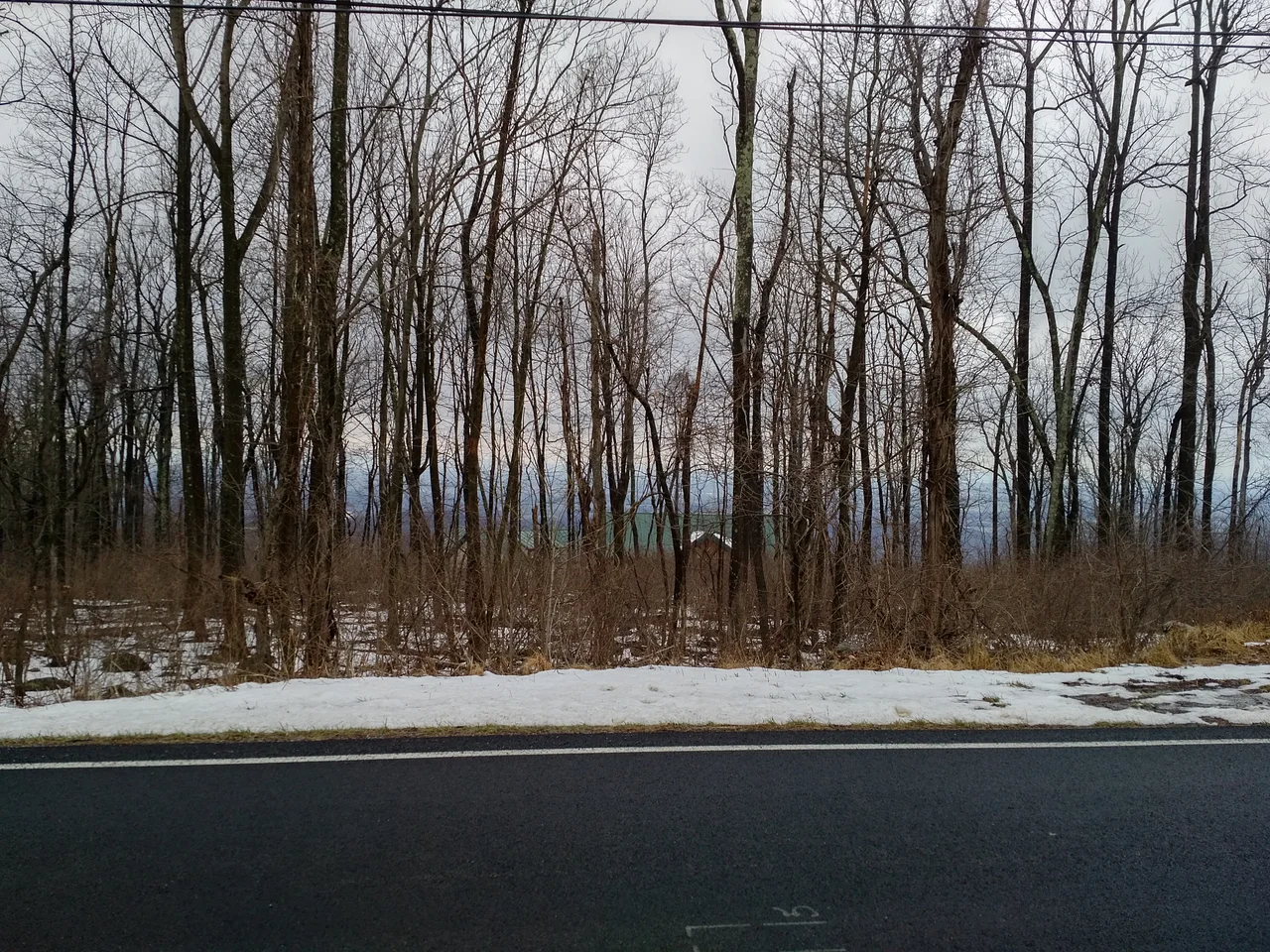 Looking west from the site of the crash of TWA flight 514 at Mount Weather, Virginia, in 2017, approximately 42 years after the crash.