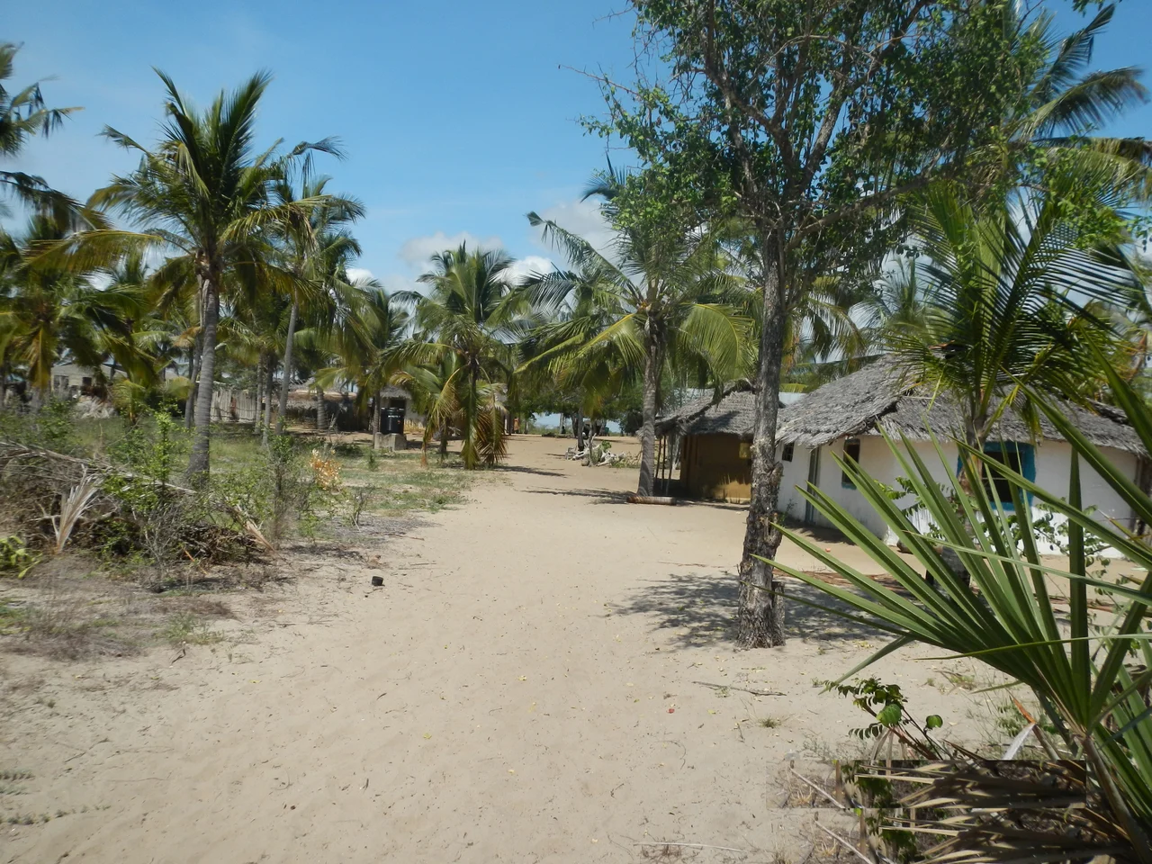 One of the villages in Saadani