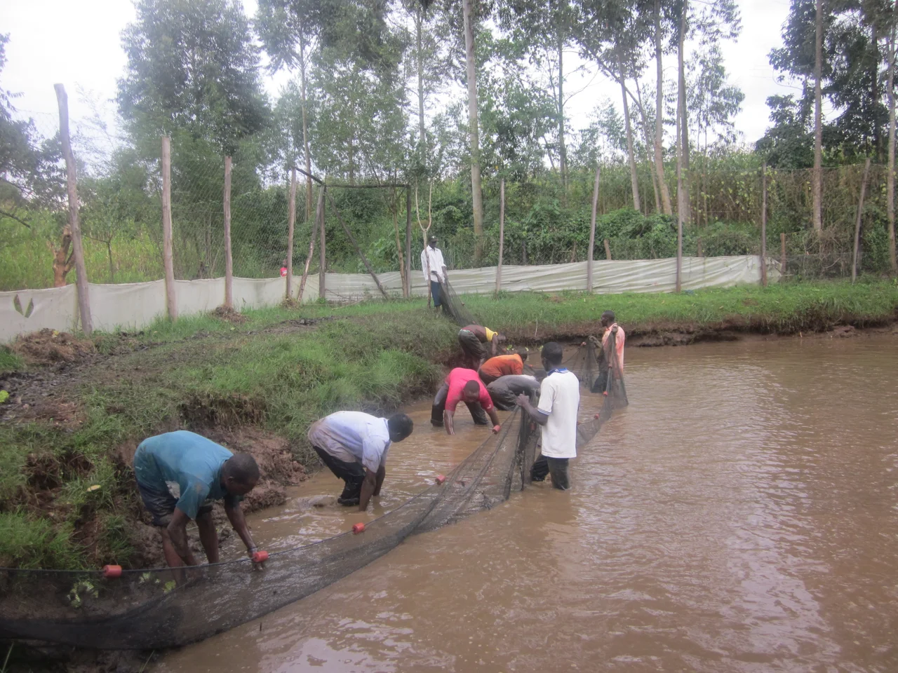 This is an image of "African people at work" from