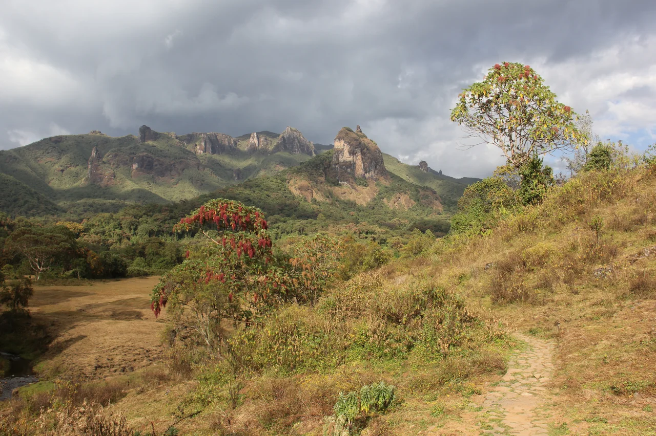 Harenna Forest