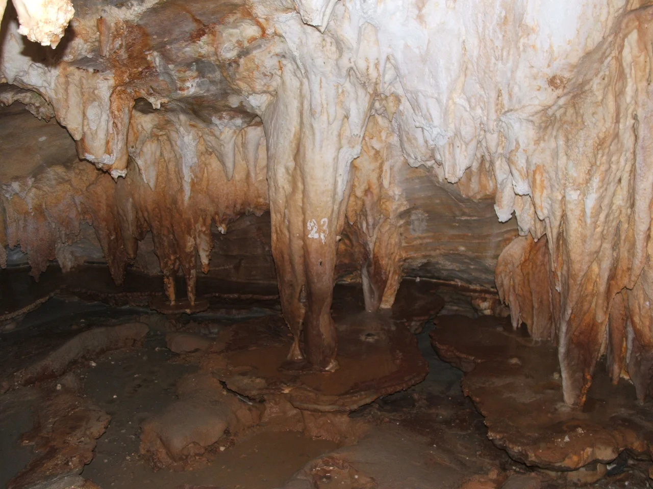 Grotte di Toirano, a Toirano, Savona, Liguria, Italia